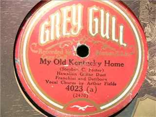 small_grey gull 4023 a.webp